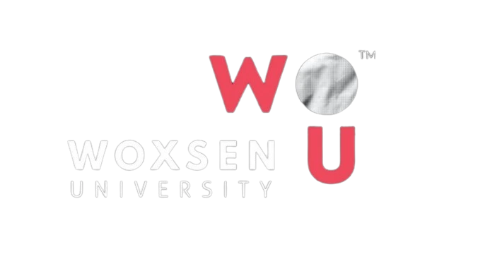 Woxsen University Logo
